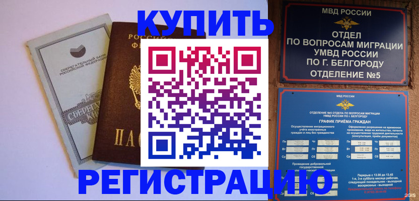 прописка гарантия в Ржеве